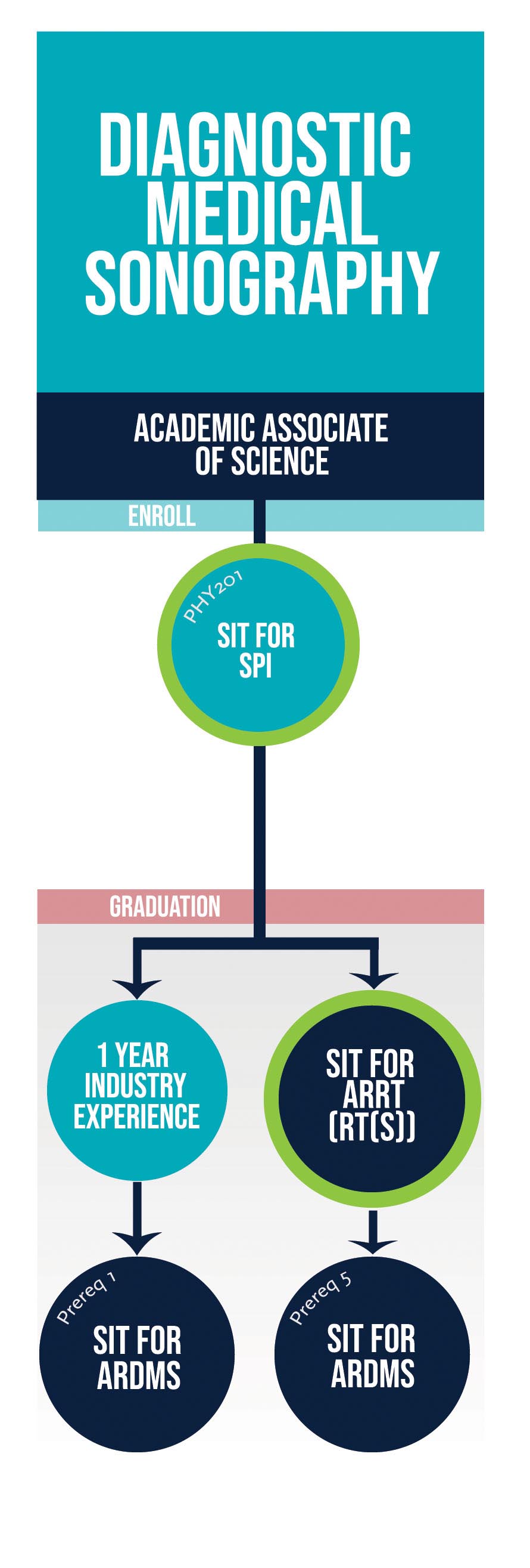 DMS Pathway