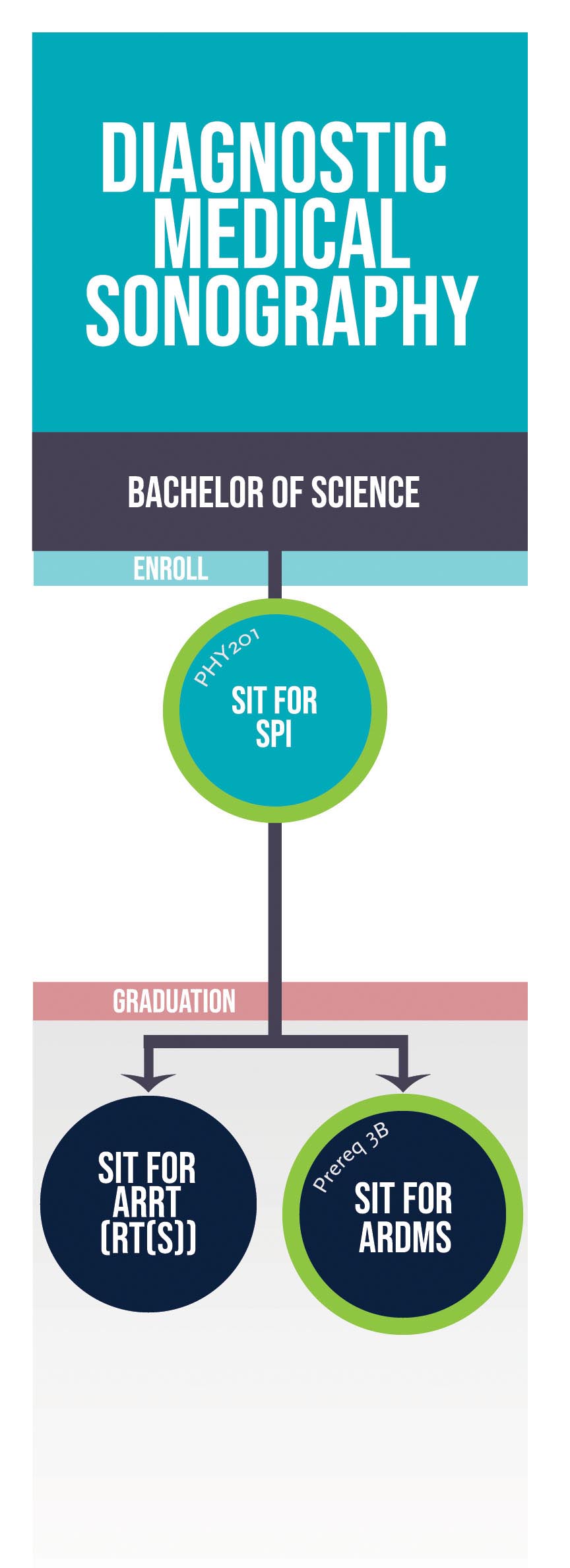 DMS Pathway