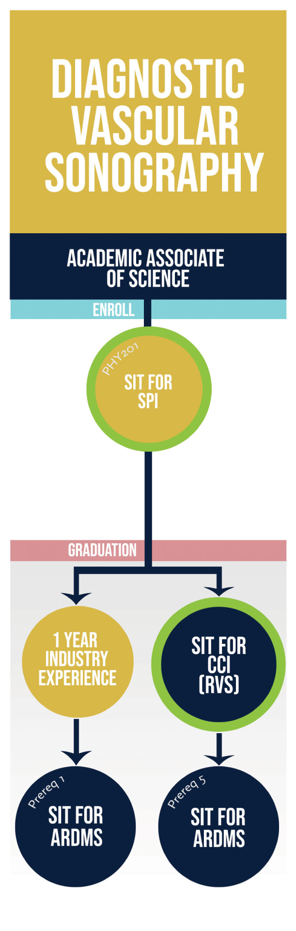 DVS Pathway